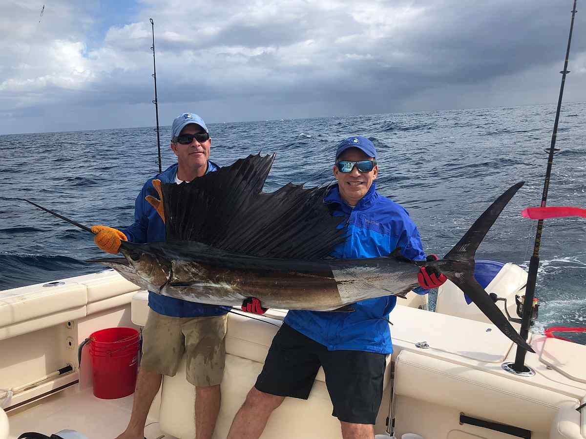 sailfish bite.2
