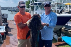 92poundCobia