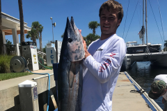 Trident Nottingham -70lb Wahoo