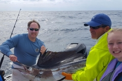blue-devil-fishing-swordfish