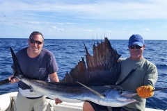 catch-release-sailfish-fishing-ocean-ridge-florida-feb2017