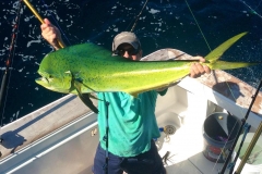 charter-fishing-boynton-Inlet-florida