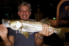charter-fishing-companies-florida-blue-devil