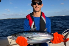 florida-skipjack-fishing-blue-devil-sport