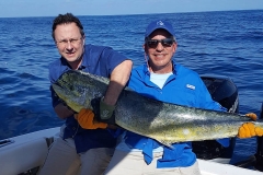 mahi-mahi-fishing-south-florida-feb2017