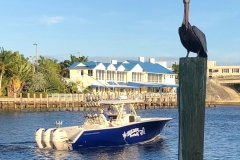 The new Blue Devil - Rigged and ready to go
