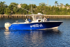 The new Blue Devil - Rigged and ready to go