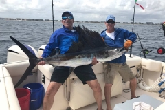 sailfish bite.1