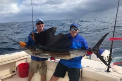 sailfish bite.2