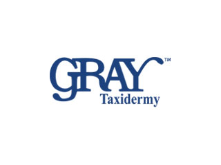 Gray Taxidermy